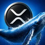 Why XRP Price is Rising Today