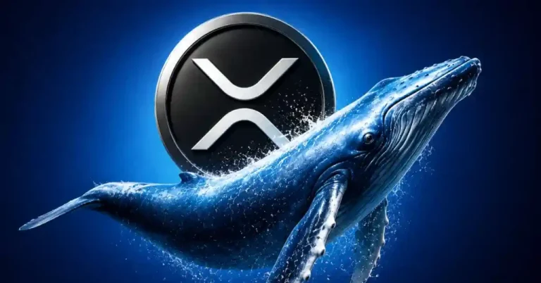 Why XRP Price is Rising Today